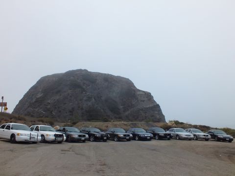 2003 Ford Crown Victoria - White and black sedans parked in a line on cracked pavement, facing a large rounded rock formation on a hazy gray day.