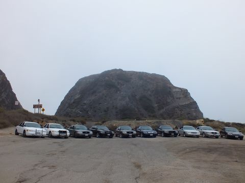 2003 Ford Crown Victoria - row of white and black sedans parked on cracked pavement in front of a massive rounded rock formation on a foggy day.