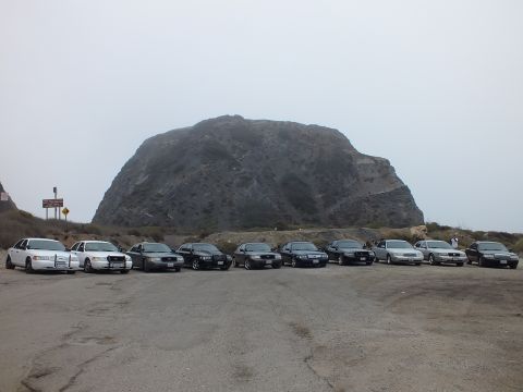 2003 Ford Crown Victoria - long row of white and dark sedans parked on cracked pavement in front of a large rock formation under a hazy gray sky.