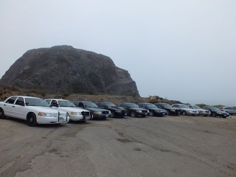 2003 Ford Crown Victoria - diagonal row of white and black full-size sedans, including police-style cars with push bars, parked before a large rocky peak under gray s…