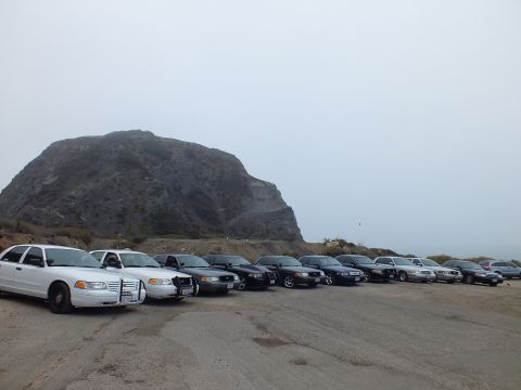 2003 Ford Crown Victoria - White and black full-size sedans line up at an angle in a gravel lot beneath a fog-covered rocky hill.