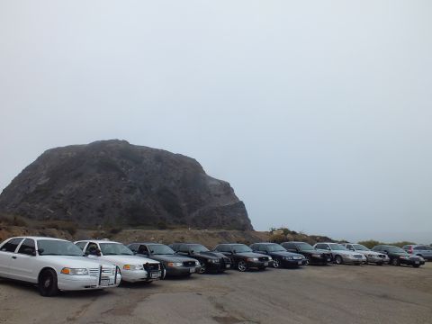 2003 Ford Crown Victoria - long line of white and black full-size sedans sits parked in a gravel lot at the base of a misty rocky headland.