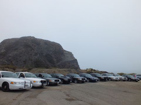 2003 Ford Crown Victoria - Full-size sedans, several fitted with front push bars, parked in an angled row beneath a foggy rocky cliff.