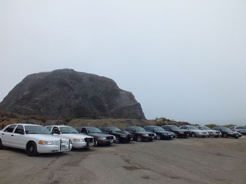 2003 Ford Crown Victoria - White and black full-size sedans line a gravel lot in front of a large rock formation under overcast sky.