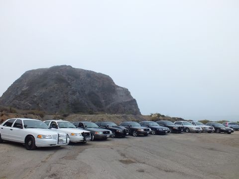 2003 Ford Crown Victoria - diagonal row of white and black full-size sedans parked on gravel at the base of a large rocky hill in foggy light.