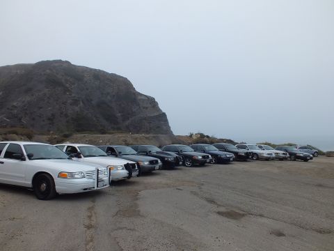 2003 Ford Crown Victoria - white full-size sedan with a black push bar sits at the head of a parked row of cars beneath a foggy rocky cliff.
