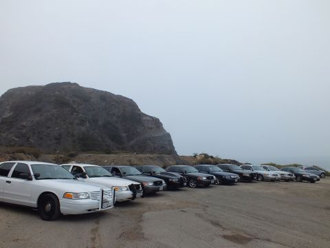 2003 Ford Crown Victoria - diagonal lineup of white and black full-size sedans parked on gravel below a large rocky hill in the fog.