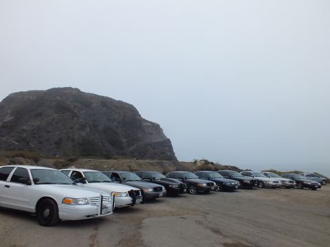2003 Ford Crown Victoria - White and black full-size sedans, some with push bars, parked in an angled row at the base of a misty rock formation.