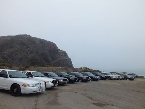 2003 Ford Crown Victoria - long row of full-size sedans parked in a gravel lot beneath a fog-covered rocky hill under gray sky.