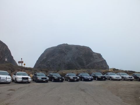 2003 Ford Crown Victoria - Front-facing full-size sedans parked in a row across a gravel lot at the base of a rocky headland in the fog.