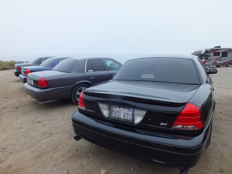 2003 Ford Crown Victoria - Rear three-quarter of a black Ford SVT sedan wearing an EVIL VIC plate, lined up with other Ford sedans and an RV under coastal fog.