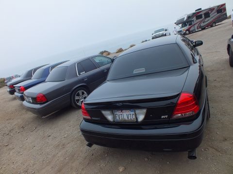 2003 Ford Crown Victoria - black Ford SVT sedan with an EVIL VIC plate parked at an angle leading a line of Ford sedans along a foggy coastal bluff.