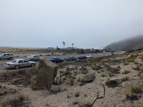2003 Ford Crown Victoria - A line of full-size Ford sedans, silver, tan, black and white, plus an SUV parked along a coastal highway shoulder under heavy marine-layer…