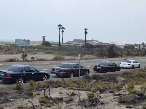 2003 Ford Crown Victoria - line of dark full-size sedans sits parked along a foggy coastal highway near dunes and palm trees.