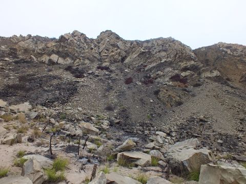 2003 Ford Crown Victoria - rugged rocky hillside of layered gray stone and loose scree rises under an overcast sky.