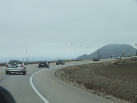 2003 Ford Crown Victoria - From inside a car, a silver sedan and others cruise a foggy highway toward distant rounded hills.