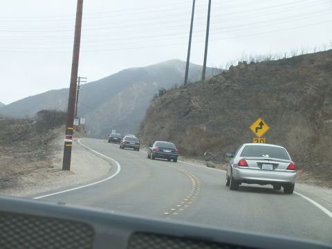 2003 Ford Crown Victoria - silver sedan leads dark sedans up a winding canyon road past a 30 mph winding-road sign.