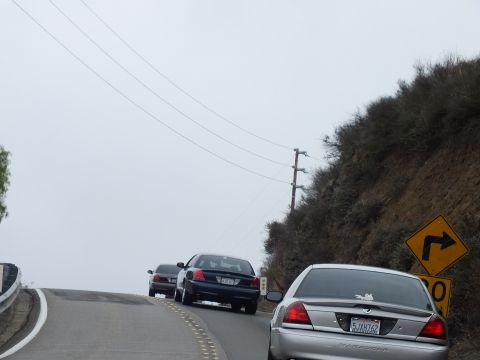 2003 Ford Crown Victoria - silver full-size sedan and dark sedans round a foggy curve marked by a yellow winding-road sign beside a brushy hillside.