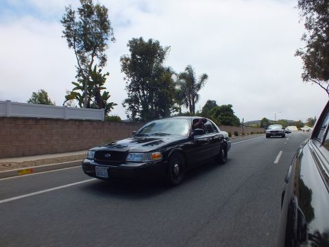2003 Ford Crown Victoria - black Ford full-size sedan drives toward the camera along a road bordered by a white wall and palm trees on an overcast day.