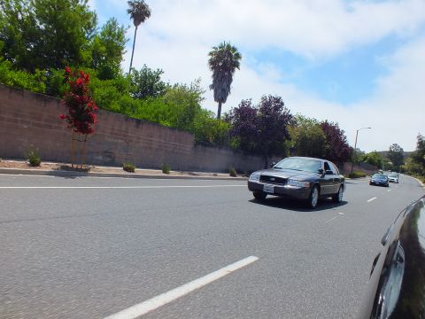 2003 Ford Crown Victoria - dark gray full-size sedan and following cars travel a road beside a concrete retaining wall, palm trees, and a flowering tree.