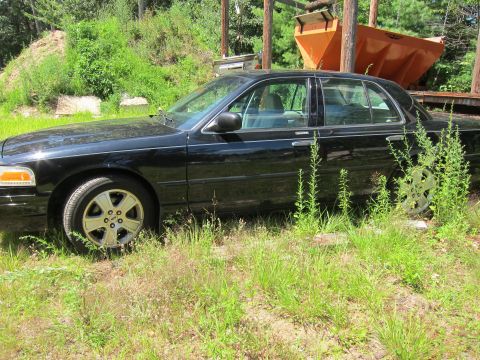 2001 Ford Crown Victoria - Side view of a black 2001 Ford Crown Victoria in a grassy, outdoor setting.