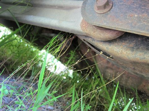 2001 Ford Crown Victoria - Undercarriage view showing frame and suspension components obscured by grass.
