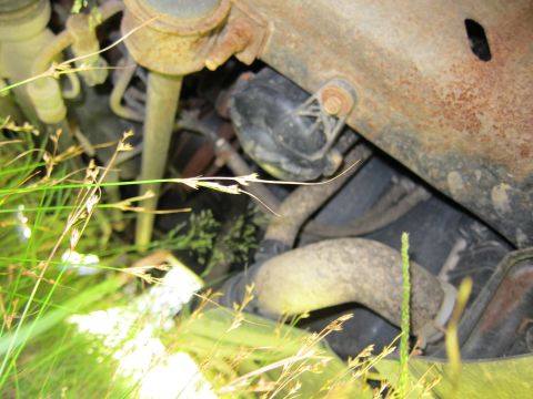 2001 Ford Crown Victoria - This image shows a close-up view of a vehicle's undercarriage, with rusty metal, hoses, and engine components visible.