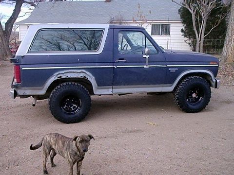 1985 Ford Bronco photo