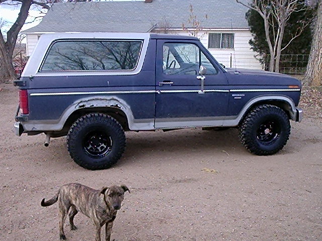 Blue and silver Ford Bronco SUV in side view on dirt, dog standing nearby