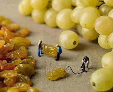 2006 Ford E350 - Tiny workers appear to be processing dried fruit and grapes in a close-up scene.