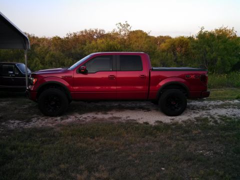 2010 Ford F-150 photo