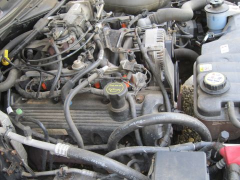 2001 Ford Crown Victoria - Close-up view of an engine bay, showing various hoses, wiring, and engine parts. Some hoses have 'Parker' text.