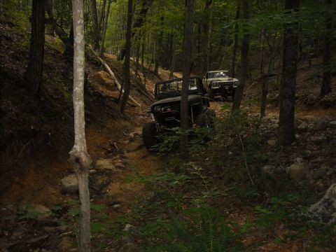 1979 Ford F-150 - Two off-road vehicles navigate a challenging path through a dense forest, surrounded by trees and rocks.