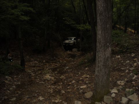 1979 Ford F-150 - A vehicle navigates a challenging, rocky path through a dense forest.