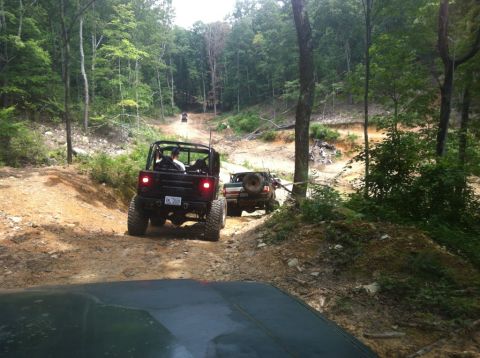 1989 Ford Bronco - Multiple Jeeps navigate a challenging off-road trail through a dense forest.