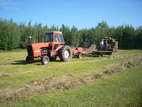 1987 Ford F-250 - Tractor and hay trailer in a field on a sunny day.