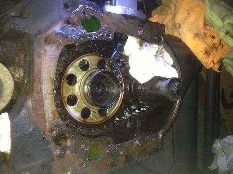 1978 Ford Bronco - This image shows the internal components of an engine, specifically the timing chain and gears, covered in oil.
