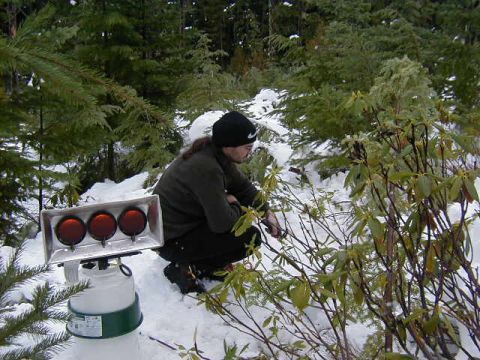 1994 Ford Explorer - Tim trying out the weed burner to melt the snow and "Mr Heater" to also melt the snow