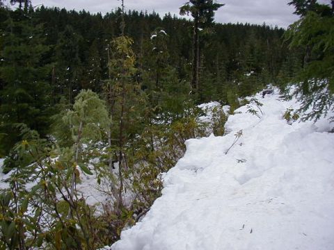1994 Ford Explorer - The trail that was plowed through with rakes, shovels & manpower!