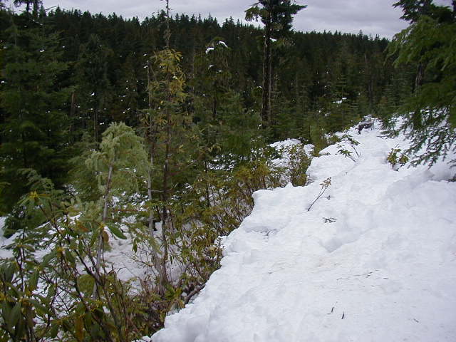 The trail that was plowed through with rakes, shovels & manpower!