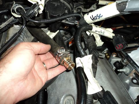 2004 Mercury Grand Marquis - Close-up of a hand holding a hose fitting connected to engine parts and wiring.