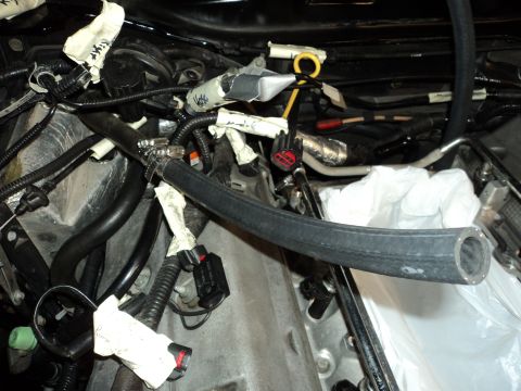 2004 Mercury Grand Marquis - Close-up view of a complex engine bay with various hoses and electrical connectors visible.