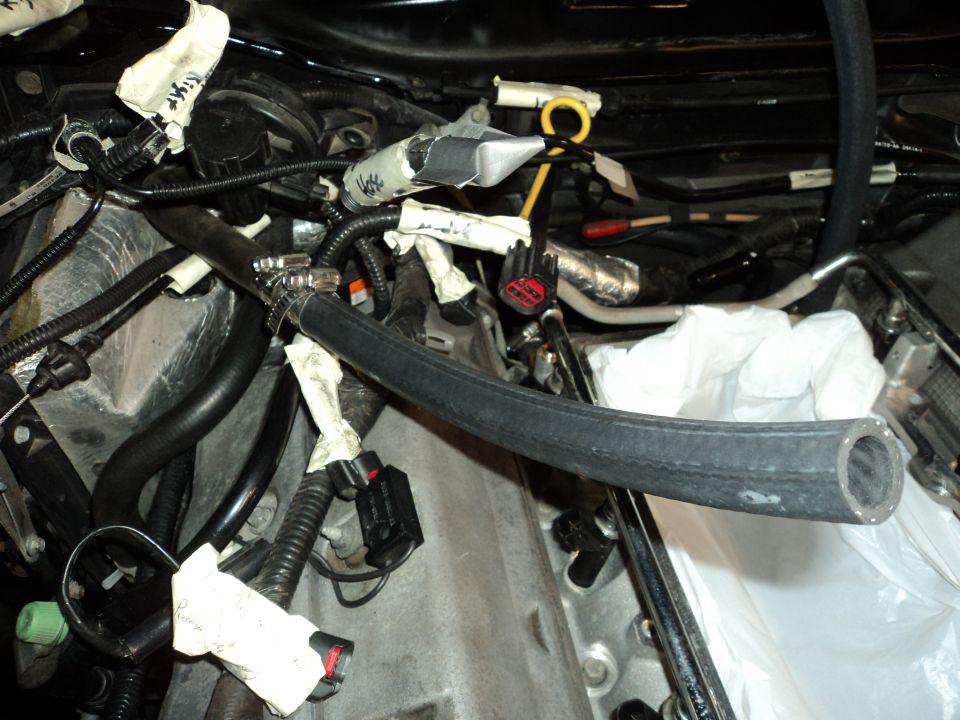 Engine bay with hoses, wiring, and insulation. A large black hose is prominent