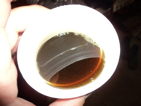 2004 Mercury Grand Marquis - A white cup contains a dark liquid with small bubbles and an orange ring visible on the inside wall.