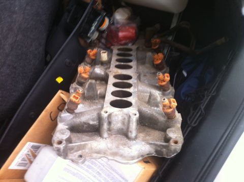 2003 Ford Crown Victoria - An intake manifold with eight orange-top fuel injectors is shown, likely a vehicle part.