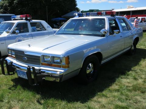 2001 Ford Crown Victoria - Front view of a silver police sedan with a push bumper and light bar, parked on grass.