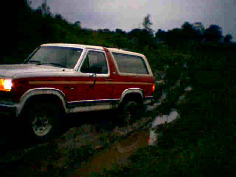 1981 Ford Bronco “bronco”