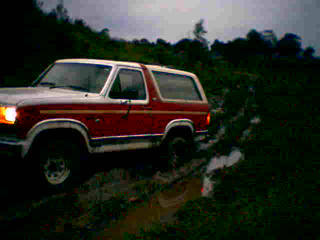 1981 Ford Bronco “bronco”