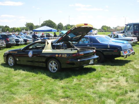2001 Ford Crown Victoria - Two police cars, one black and tan, the other blue, are parked on a grassy field.