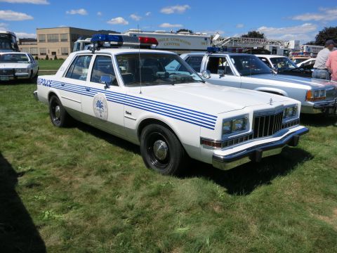 2001 Ford Crown Victoria - A white police car with blue stripes and a seal on the door is parked on a grassy field.